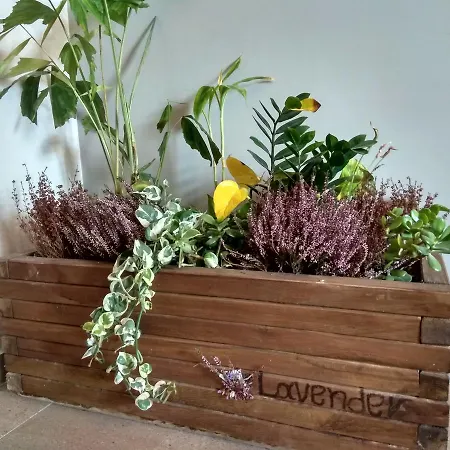 Lavender Appartement